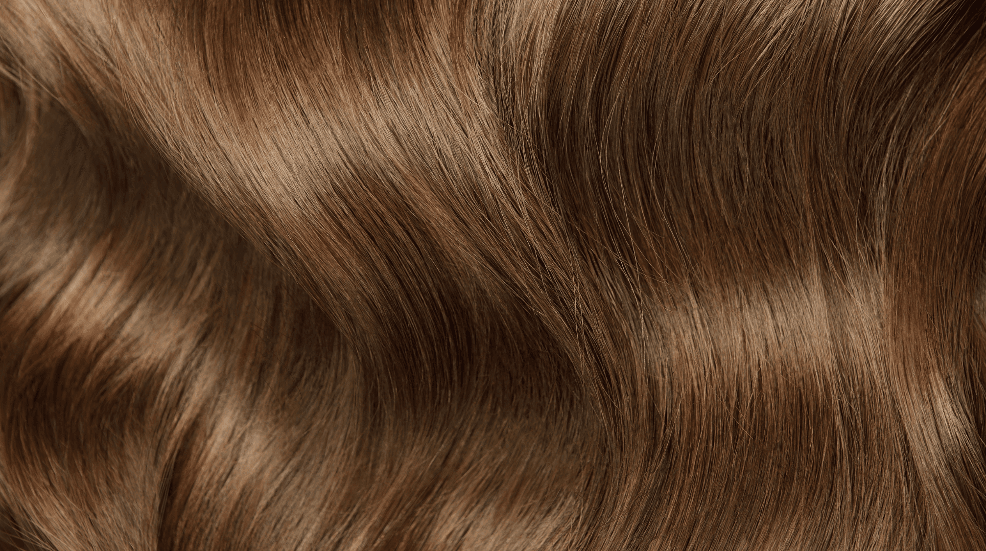 Gros plan sur des boucles et des cheveux bruns brillants . Teintes de cheveux